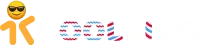 coolzinofr.site